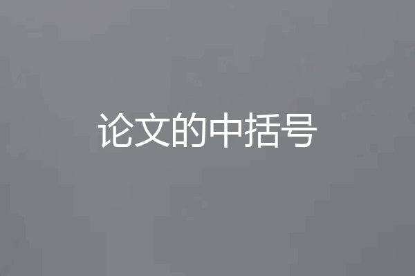 论文的中括号