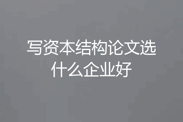 写资本结构论文选什么企业好
