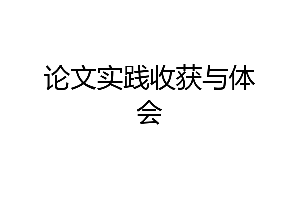 论文实践收获与体会