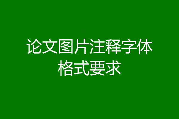 论文图片注释字体格式要求