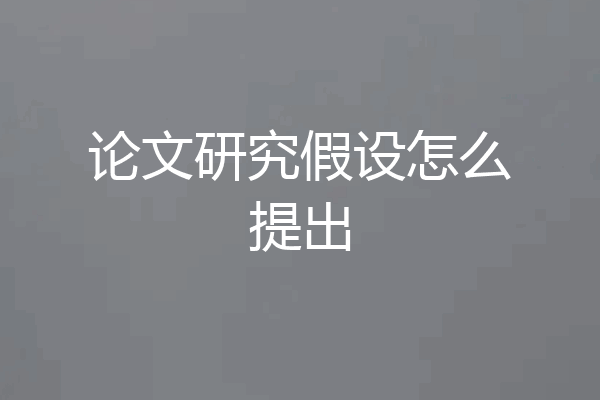 论文研究假设怎么提出