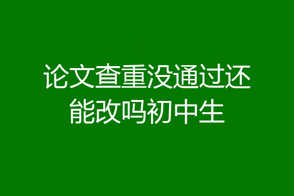 论文查重没通过还能改吗初中生