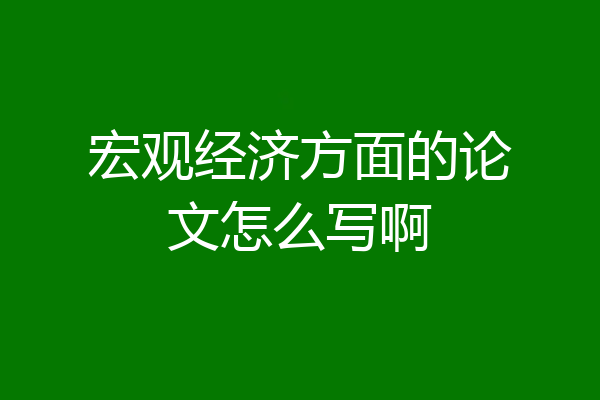 宏观经济方面的论文怎么写啊