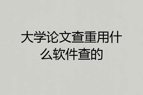 大学论文查重用什么软件查的