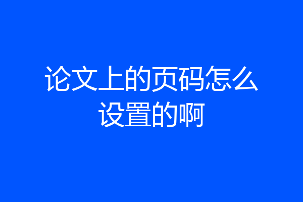论文上的页码怎么设置的啊