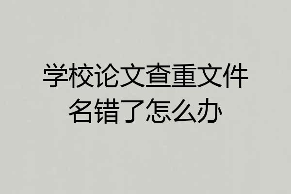 学校论文查重文件名错了怎么办