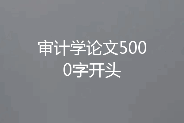 审计学论文5000字开头