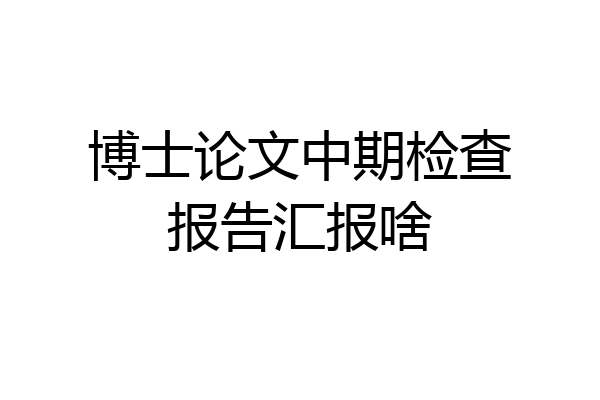 博士论文中期检查报告汇报啥