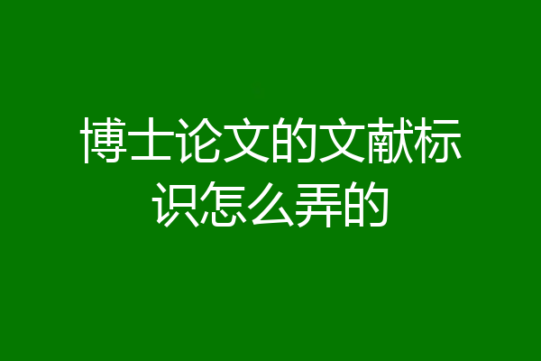 博士论文的文献标识怎么弄的