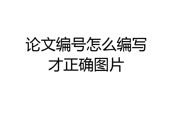 论文编号怎么编写才正确图片