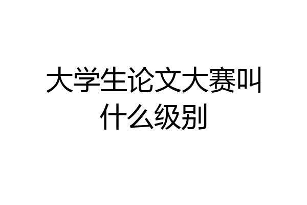 大学生论文大赛叫什么级别