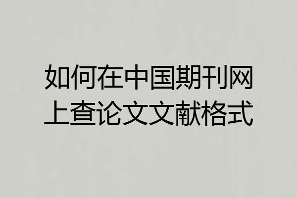 如何在中国期刊网上查论文文献格式
