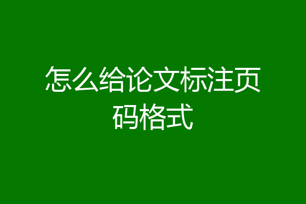 怎么给论文标注页码格式