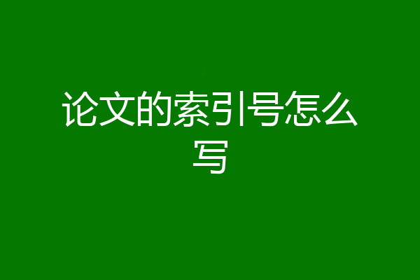 论文的索引号怎么写