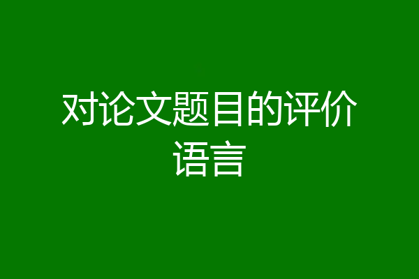 对论文题目的评价语言
