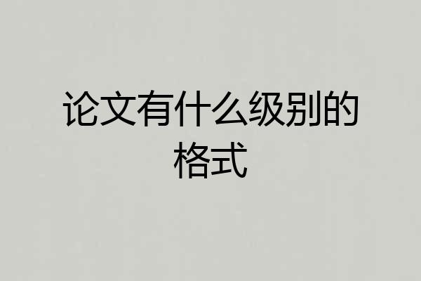 论文有什么级别的格式