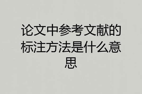 论文中参考文献的标注方法是什么意思