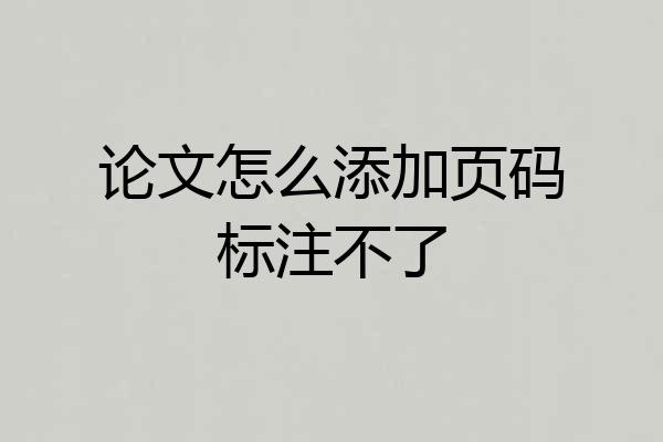 论文怎么添加页码标注不了