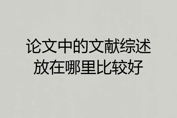 论文中的文献综述放在哪里比较好