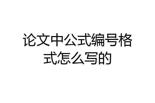 论文中公式编号格式怎么写的