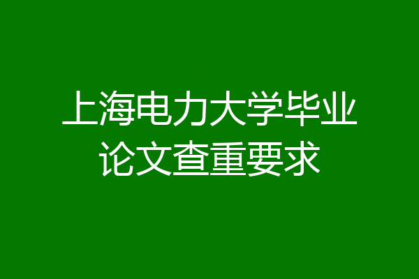 上海电力大学毕业论文查重要求