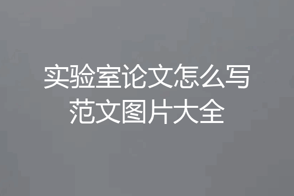 实验室论文怎么写范文图片大全