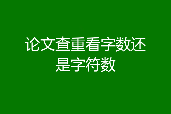 论文查重看字数还是字符数