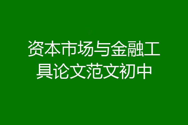 资本市场与金融工具论文范文初中