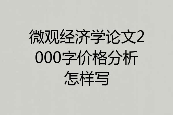微观经济学论文2000字价格分析怎样写