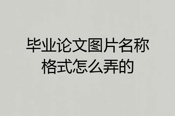 毕业论文图片名称格式怎么弄的