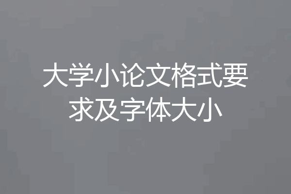 大学小论文格式要求及字体大小