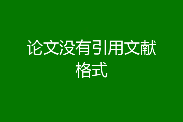 论文没有引用文献格式