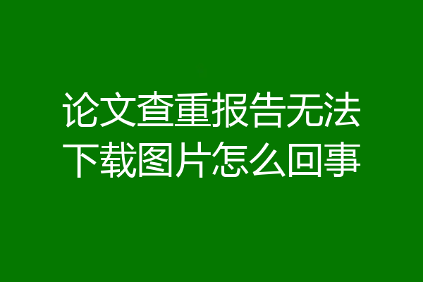 论文查重报告无法下载图片怎么回事