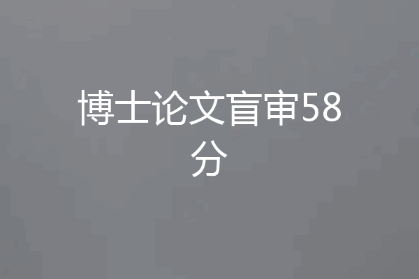 博士论文盲审58分