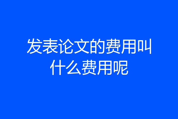 发表论文的费用叫什么费用呢