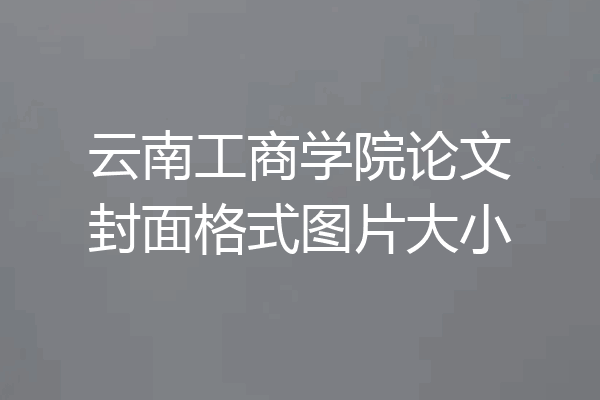 云南工商学院论文封面格式图片大小