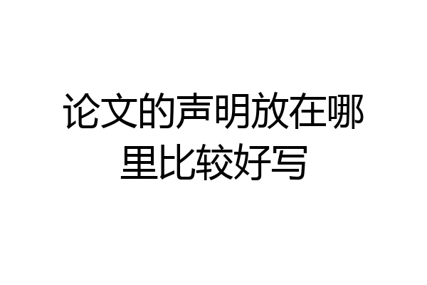 论文的声明放在哪里比较好写