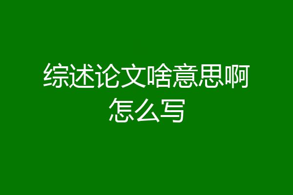 综述论文啥意思啊怎么写