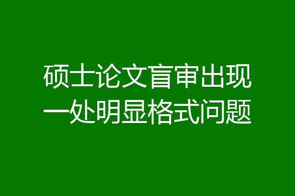 硕士论文盲审出现一处明显格式问题