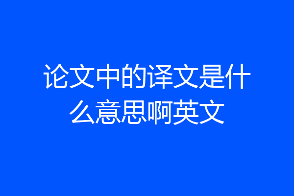 论文中的译文是什么意思啊英文