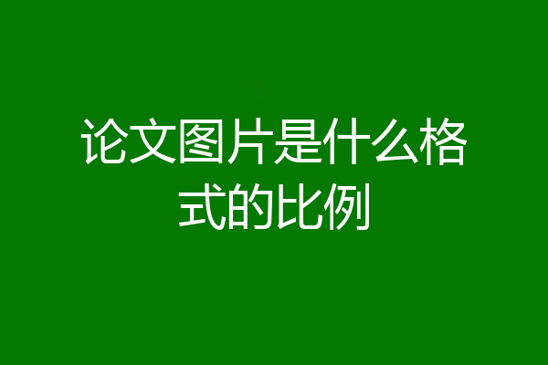 论文图片是什么格式的比例