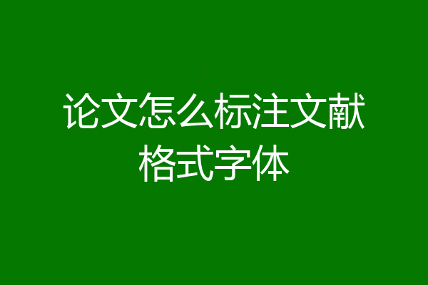 论文怎么标注文献格式字体