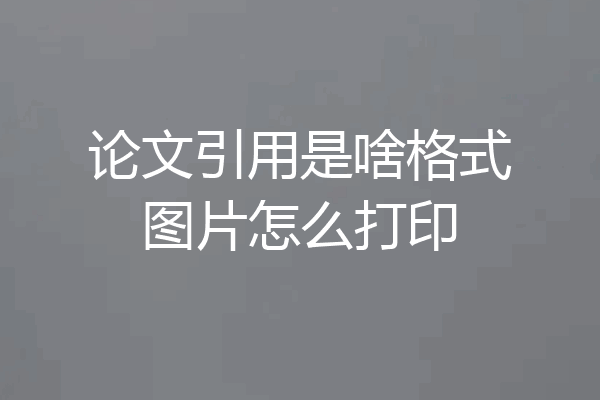 论文引用是啥格式图片怎么打印