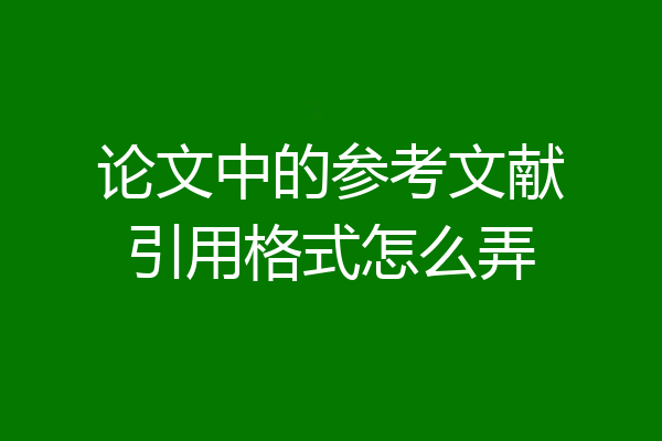 论文中的参考文献引用格式怎么弄