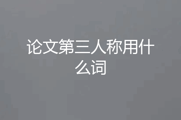 论文第三人称用什么词