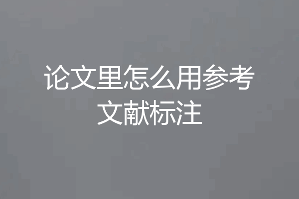 论文里怎么用参考文献标注