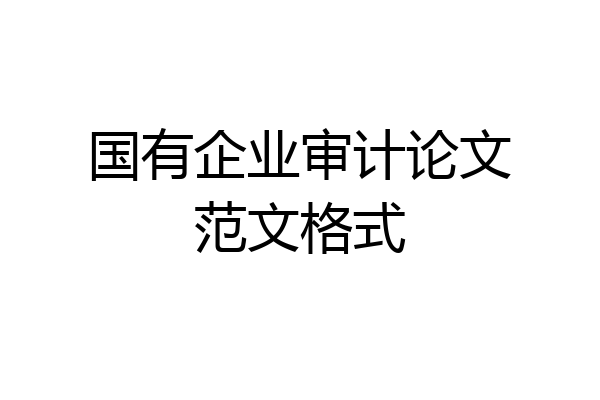 国有企业审计论文范文格式