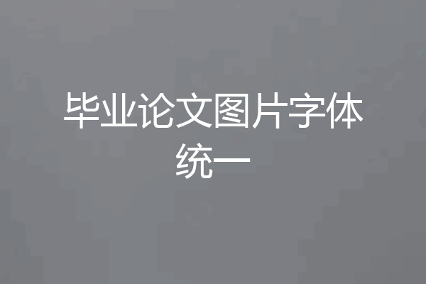 毕业论文图片字体统一