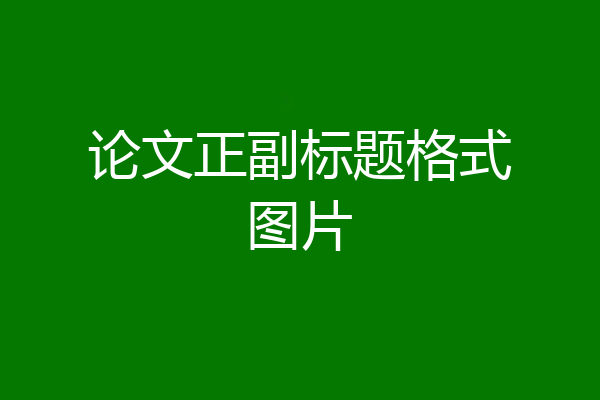 论文正副标题格式图片