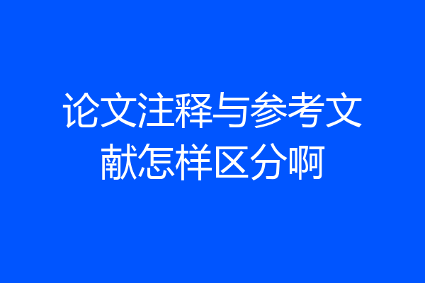 论文注释与参考文献怎样区分啊